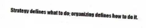 Strategy defines what to do; organizing defines how to do it.