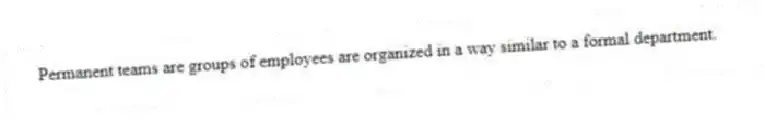 Permanent teams are groups of employees are organized in a way similar to a formal department.