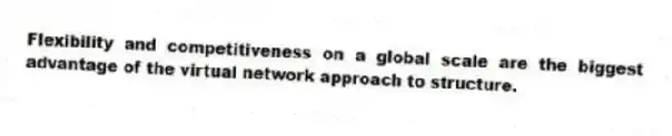 Flexibility and competitiveness on a global scale are the biggest advantage of the virtual network approach to structure.