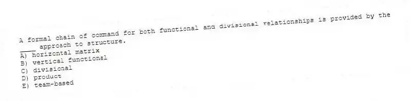 A formal chain of command for both functional and divisional relationships is provided by the ____ approach to structure.
A) horizontal matrix
B) vertical functional
C) divisional
D) product
E) team-based
