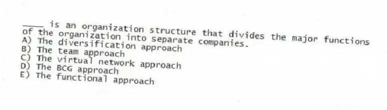____ is an organization structure that divides the major functions of the organization into separate companies.
A) The diversification approach
B) The team approach
C) The virtual network approach
D) The BCG approach
E) The functional approach