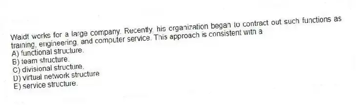 Waldt works for a large company. Recently, his organization began to contract out such functions as training, engineering, and computer service. This approach is consistent with a
A) functional structure.
B) team structure.
C) divisional structure.
D) virtual network structure
E) service structure.