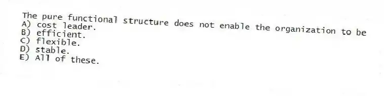 The pure functional structure does not enable the organization to be
A) cost leader.
B) efficient.
C) flexible.
D) stable.
E) All of these.