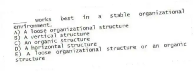 ____ works best in a stable organizational environment.
A) A loose organizational structure
B) A vertical structure
C) An organic structure
D) A horizontal structure
E) A loose organizational structure or an organic structure
