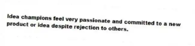 Idea champions feel very passionate and committed to a new product or idea despite rejection to others.