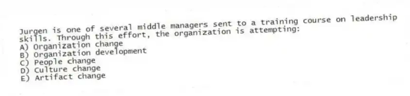 Jurgen is one of several middle managers sent to a training course on leadership skills. Through this effort, the organization is attempting:
A) Organization change
B) Organization development
C) People change
D) Culture change
E) Artifact change