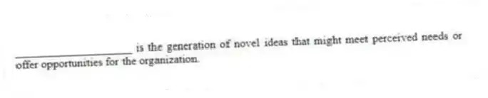____________________ is the generation of novel ideas that might meet perceived needs or offer opportunities for the organization.