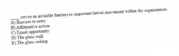 ____ serves as invisible barriers to important lateral movement within the organization.
A) Barriers to entry
B) Affirmative action
C) Equal opportunity
D) The glass wall
E) The glass ceiling