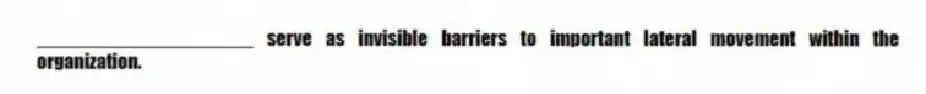____________________ serve as invisible barriers to important lateral movement within the organization.