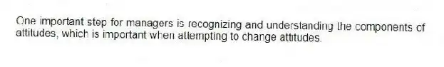 One important step for managers is recognizing and understanding the components of attitudes, which is important when attempting to change attitudes.