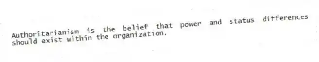 Authoritarianism is the belief that power and status differences should exist within the organization.