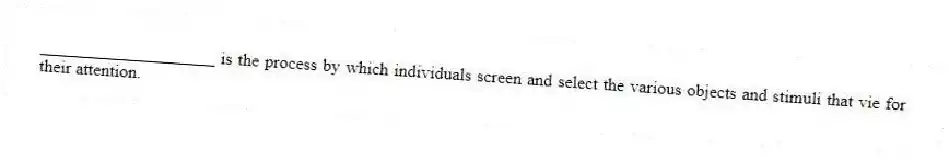 ____________________ is the process by which individuals screen and select the various objects and stimuli that vie for their attention.