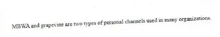MBWA and grapevine are two types of personal channels used in many organizations.