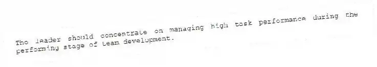 The leader should concentrate on managing high task performance during the performing stage of team development.