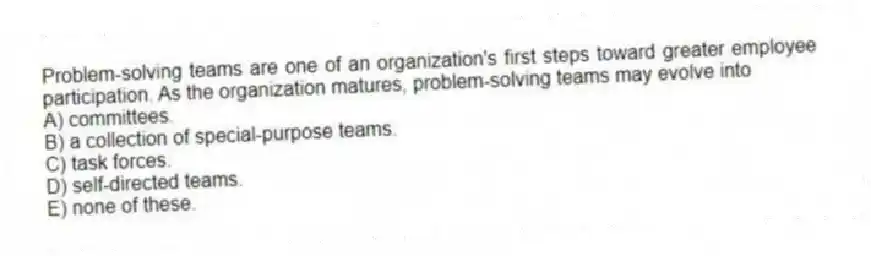 Problem-solving teams are one of an organization's first steps toward greater employee participation. As the organization matures, problem-solving teams may evolve into
A) committees.
B) a collection of special-purpose teams.
C) task forces.
D) self-directed teams.
E) none of these.