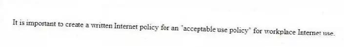 It is important to create a written Internet policy for an "acceptable use policy" for workplace Internet use.