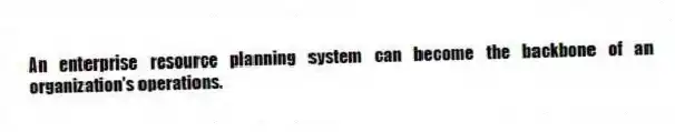 An enterprise resource planning system can become the backbone of an organization's operations.