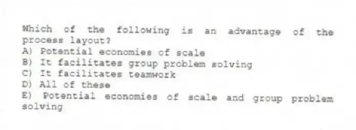 Which of the following is an advantage of the process layout?
A) Potential economies of scale
B) It facilitates group problem solving
C) It facilitates teamwork
D) All of these
E) Potential economies of scale and group problem solving