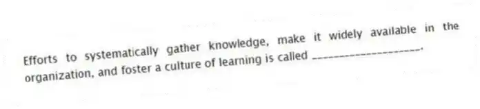 Efforts to systematically gather knowledge, make it widely available in the organization, and foster a culture of learning is called ____________________.
