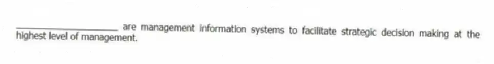 ____________________ are management information systems to facilitate strategic decision making at the highest level of management.