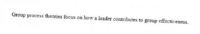 Group process theories focus on how a leader contributes to group effectiveness.