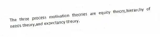 The three process motivation theories are equity theory,hierarchy of needs theory,and expectancy theory.