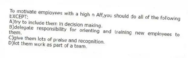 To motivate employees with a high n Aff,you should do all of the following EXCEPT:
A)try to include them in decision making.
B)delegate responsibility for orienting and training new employees to them.
C)give them lots of praise and recognition.
D)let them work as part of a team.