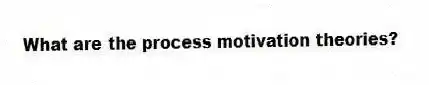 What are the process motivation theories?