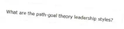 What are the path-goal theory leadership styles?