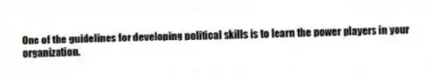 One of the guidelines for developing political skills is to learn the power players in your organization.