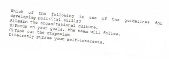 Which of the following is one of the guidelines for developing political skills?
A)Learn the organizational culture.
B)Focus on your goals, the team will follow.
C)Tune out the grapevine.
D)Secretly pursue your self-interests.
