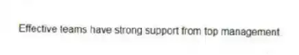 Effective teams have strong support from top management.