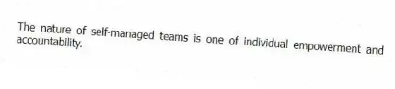 The nature of self-managed teams is one of individual empowerment and accountability.