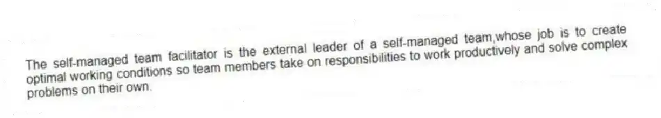 The self-managed team facilitator is the external leader of a self-managed team,whose job is to create optimal working conditions so team members take on responsibilities to work productively and solve complex problems on their own.