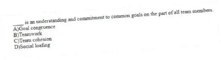 ____ is an understanding and commitment to common goals on the part of all team members.
A)Goal congruence
B)Teamwork
C)Team cohesion
D)Social loafing