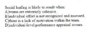 Social loafing is likely to result when:
A)teams are extremely cohesive.
B)individual effort is not recognized and assessed.
C)there is a lack of motivation within the team.
D)individual-level performance appraisal occurs.