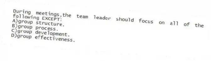 During meetings,the team leader should focus on all of the following EXCEPT:
A)group structure.
B)group process.
C)group development.
D)group effectiveness.