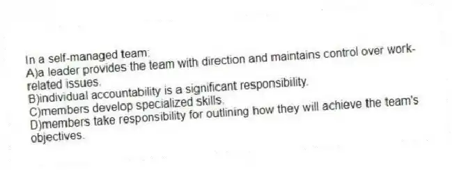 In a self-managed team:
A)a leader provides the team with direction and maintains control over work-related issues.
B)individual accountability is a significant responsibility.
C)members develop specialized skills.
D)members take responsibility for outlining how they will achieve the team's objectives.