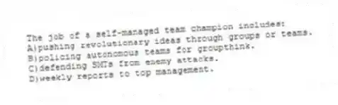 The job of a self-managed team champion includes:
A)pushing revolutionary ideas through groups or teams.
B)policing autonomous teams for groupthink.
C)defending SMTs from enemy attacks.
D)weekly reports to top management.