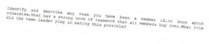 Identify and describe any team you have been a member of,or know about otherwise,that has a strong norm of teamwork that all members buy into.What role did the team leader play in making this possible?