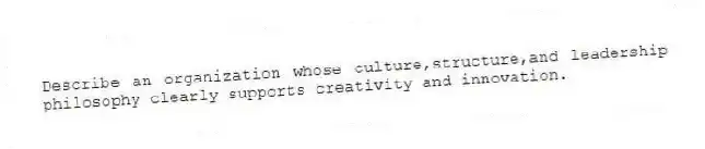 Describe an organization whose culture,structure,and leadership philosophy clearly supports creativity and innovation.