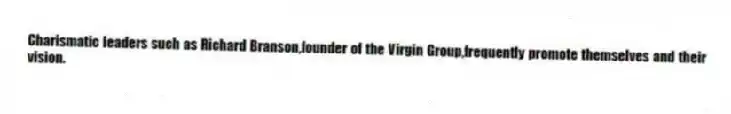 Charismatic leaders such as Richard Branson,founder of the Virgin Group,frequently promote themselves and their vision.