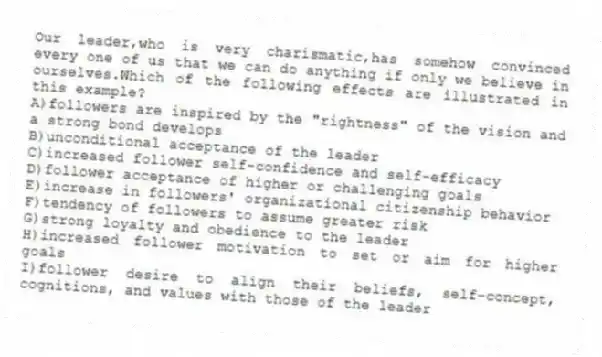 Our leader,who is very charismatic,has somehow convinced every one of us that we can do anything if only we believe in ourselves.Which of the following effects are illustrated in this example?
A)followers are inspired by the "rightness" of the vision and a strong bond develops
B)unconditional acceptance of the leader
C)increased follower self-confidence and self-efficacy
D)follower acceptance of higher or challenging goals
E)increase in followers' organizational citizenship behavior
F)tendency of followers to assume greater risk
G)strong loyalty and obedience to the leader
H)increased follower motivation to set or aim for higher goals
I)follower desire to align their beliefs, self-concept, cognitions, and values with those of the leader