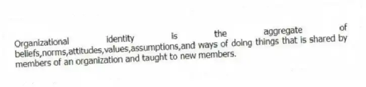Organizational identity is the aggregate of beliefs,norms,attitudes,values,assumptions,and ways of doing things that is shared by members of an organization and taught to new members.