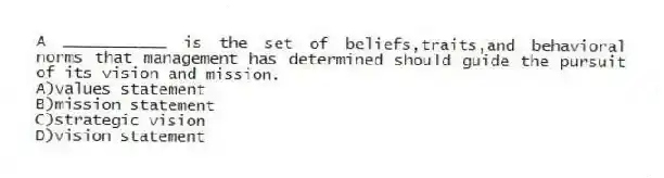 A ___________ is the set of beliefs,traits,and behavioral norms that management has determined should guide the pursuit of its vision and mission.
A)values statement
B)mission statement
C)strategic vision
D)vision statement