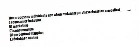 The processes individuals use when making a purchase decision are called _____.
A) consumer behavior
B) marketing
C) consumerism
D) perceptual mapping
E) database mining