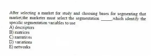 After selecting a market for study and choosing bases for segmenting that market,the marketer must select the segmentation _____,which identify the specific segmentation variables to use
A) descriptors
B) matrices
C) narratives
D) variations
E) networks