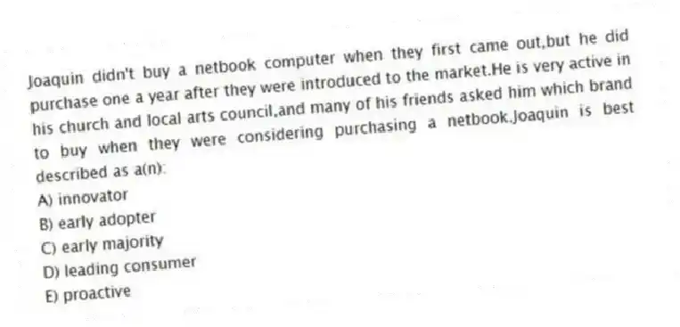 Joaquin didn't buy a netbook computer when they first came out,but he did purchase one a year after they were introduced to the market.He is very active in his church and local arts council,and many of his friends asked him which brand to buy when they were considering purchasing a netbook.Joaquin is best described as a(n):
A) innovator
B) early adopter
C) early majority
D) leading consumer
E) proactive