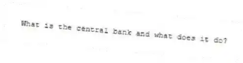 What is the central bank and what does it do?