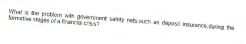 What is the problem with government safety nets,such as deposit insurance,during the formative stages of a financial crisis?